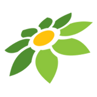 INSTAGRAM SVG